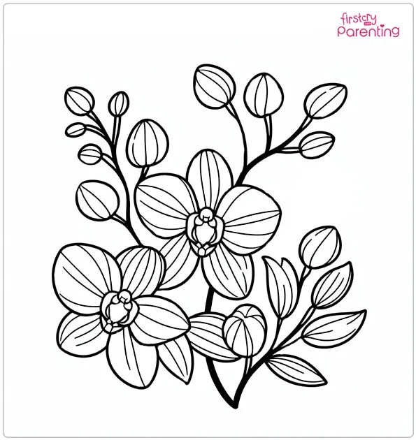 Orchid Flowers Coloring Page