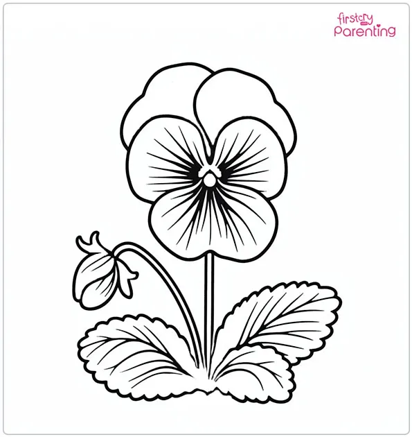 Pansy Flower Coloring Page