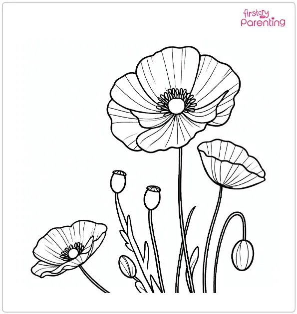 Poppy Flower Coloring Page