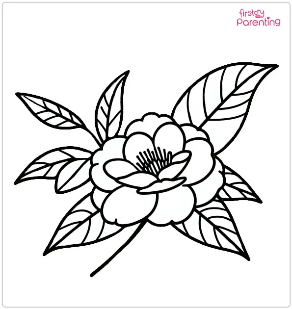 Camellia Flower Coloring Page