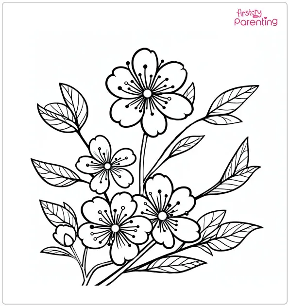 Cherry Blossom Flowers Coloring Page