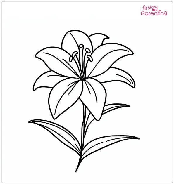 Lily Flower Coloring Page