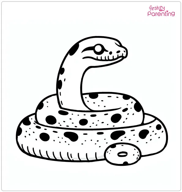 Boa Constrictor Snake Coloring Page