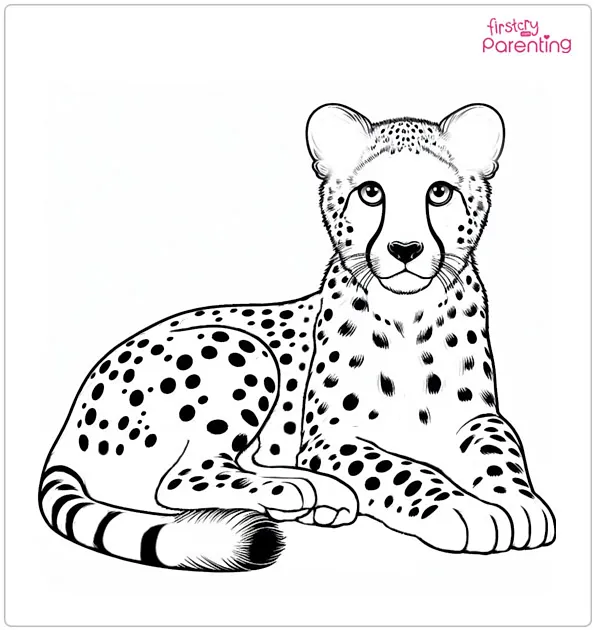 Big Cheetah Coloring Page