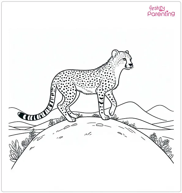 Cheetah on the Hill Coloring Page