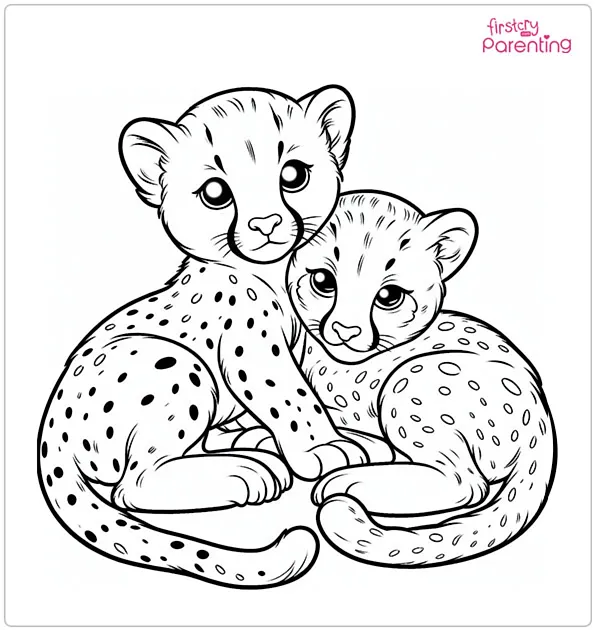 25 Cheetah Coloring Pages - Free Printable, Sheets and Images for Kids