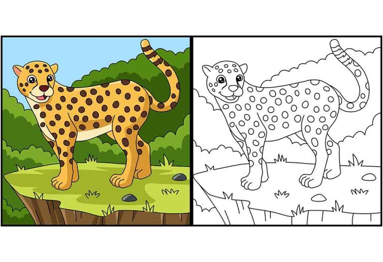Cheetah Coloring Pages – Free Printable Pages For Kids