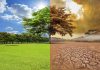 ग्लोबल वार्मिंग पर निबंध (Essay On Global Warming In Hindi) Essay On Global Warming In Hindi
