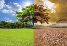 Essay On Global Warming In Hindi