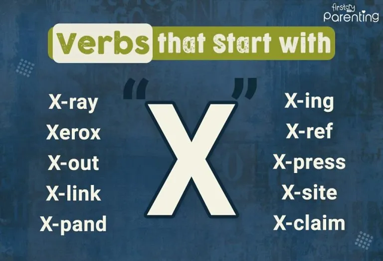 Verbs That Start With X in English (With Meanings & Examples)