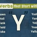 Verbs That Start With Y in English (With Meanings & Examples)
