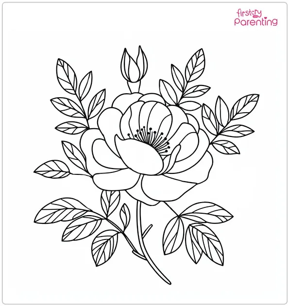25 Rose Coloring Pages Free Printable Sheets And Images For Kids 25 Rose Coloring Pages Free Printable Sheets And Images For Kids