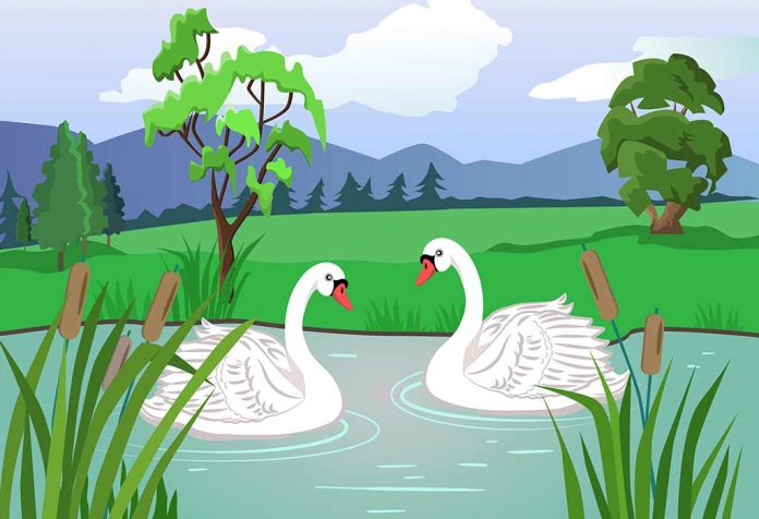 The Two Swans Story In Hindi