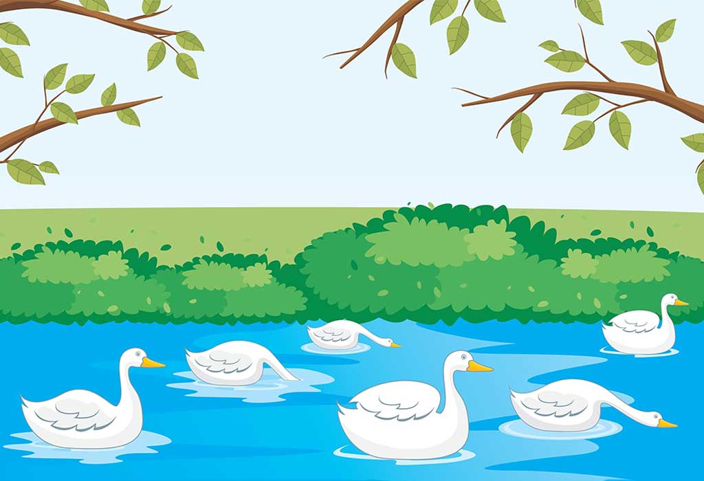 The Story Of Two Swans In Hindi