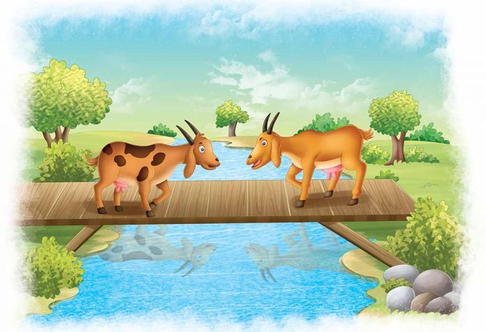 Two Foolish Goats Story In Hindi