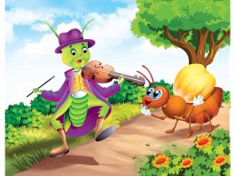 चींटी और टिड्डा की कहानी l The Story The Ant And The Grasshopper In Hindi The Story The Ant And The Grasshopper In Hindi