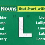 Nouns That Start With L (With Types and Example Sentences)