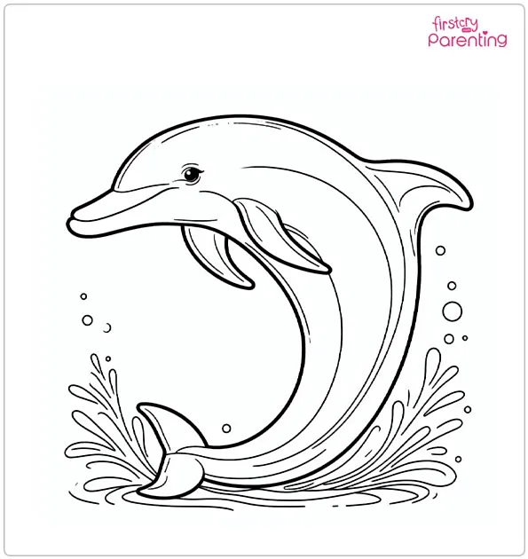 Clymene Dolphin Coloring Page
