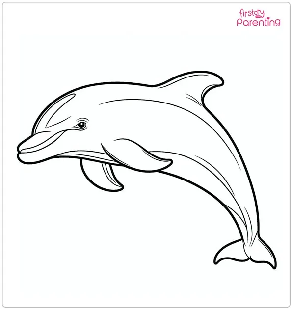 Hector's Dolphin Coloring Page