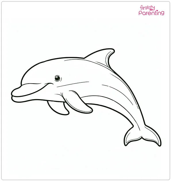25 Dolphin Coloring Pages - Free Printable, Sheets and Images for Kids