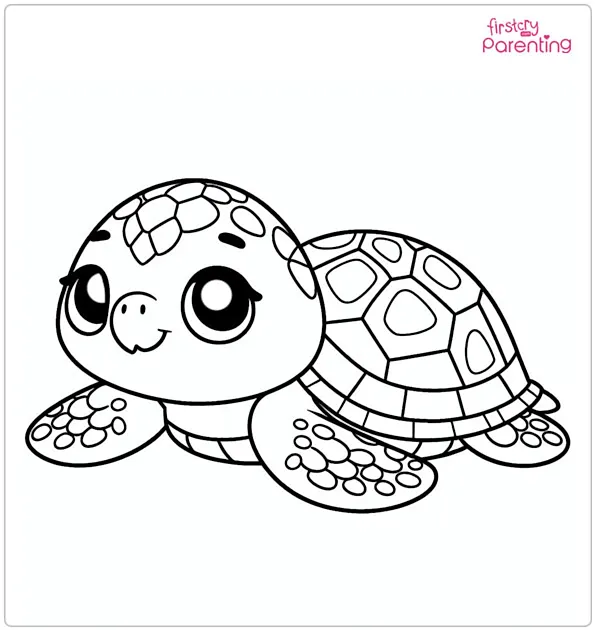 25 Turtle Coloring Pages - Free Printable, Sheets and Images for Kids