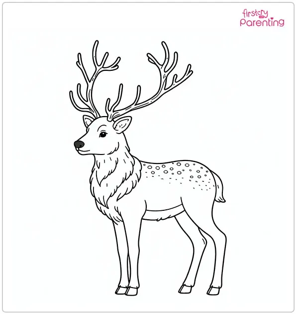 25 Reindeer Coloring Pages - Free Printable, Sheets and Images for Kids