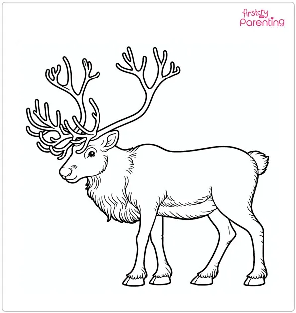 Norway Islands Reindeer Coloring Page