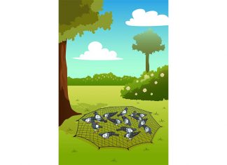 कबूतर और बहेलिया की कहानी | Pigeon and Fowler Story In Hindi Pigeon and Fowler Story In Hindi