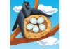 कौवा और कोयल की कहानी। The Crow And The Cuckoo Story In Hindi The crow and the cuckoo story in hindi