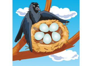 कौवा और कोयल की कहानी। The Crow And The Cuckoo Story In Hindi The crow and the cuckoo story in hindi