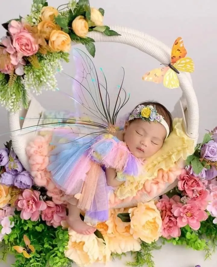 Butterfly Garden