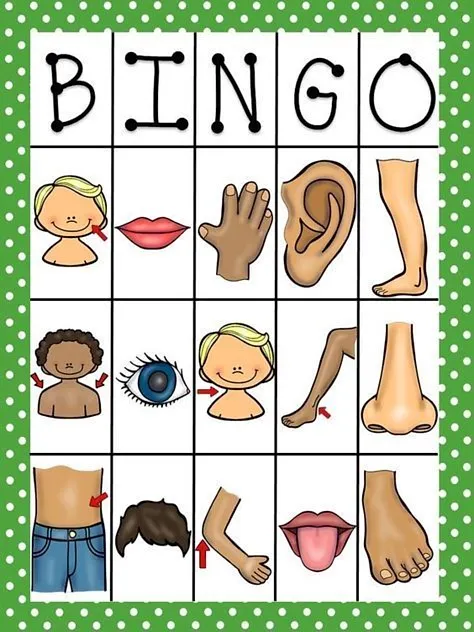 Body Part Bingo