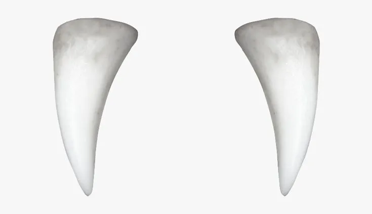 Plaster of Paris vampire teeth