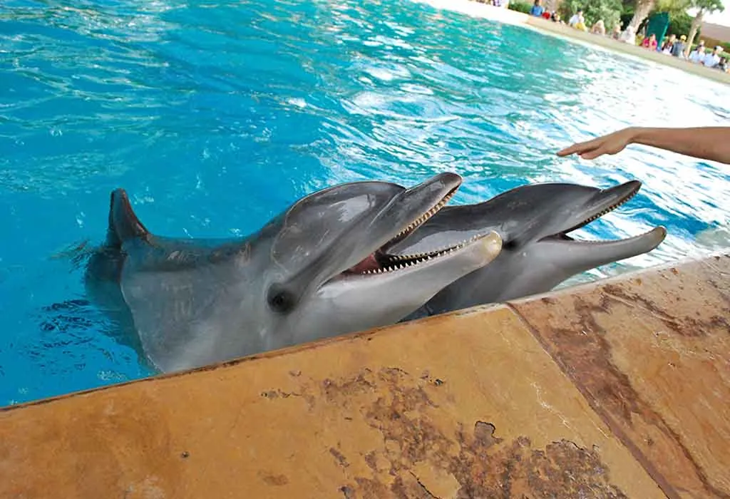 San Antonio Aquarium