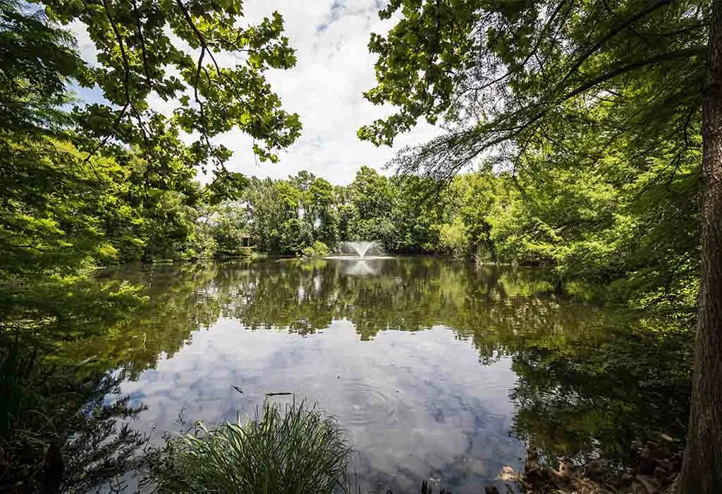 San Antonio Botanical Garden