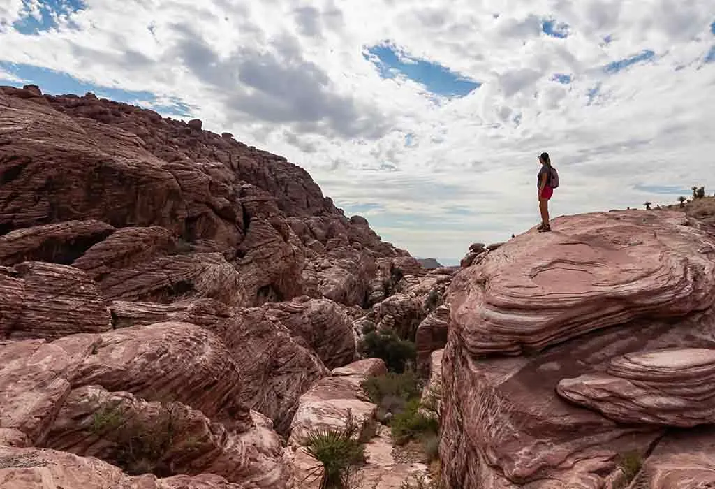 Take a Trip to Red Rock Canyon National Conservation Area