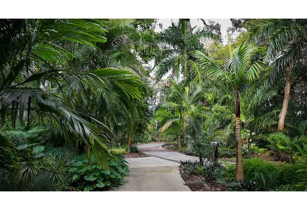 Harry P. Leu Gardens