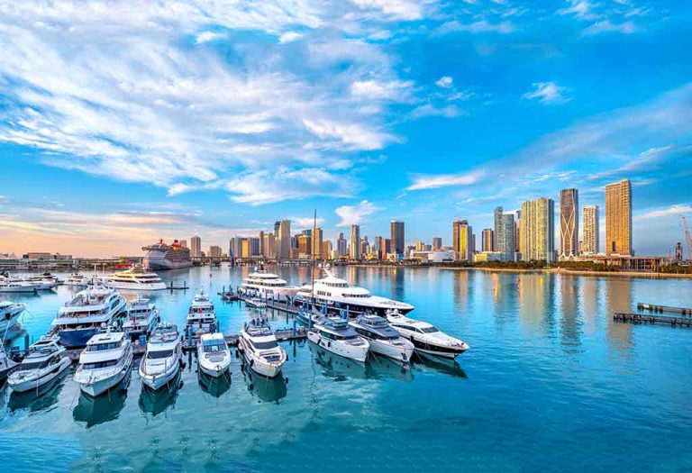 20 Things to Do in Miami With Kids