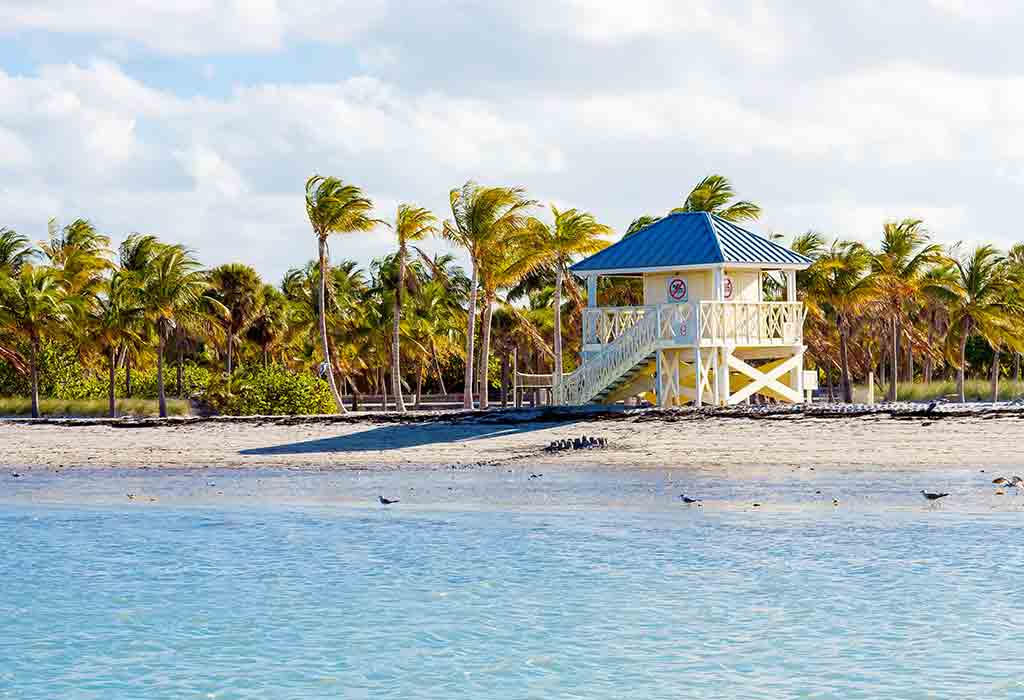 Enjoy a Beach Day at Crandon Park