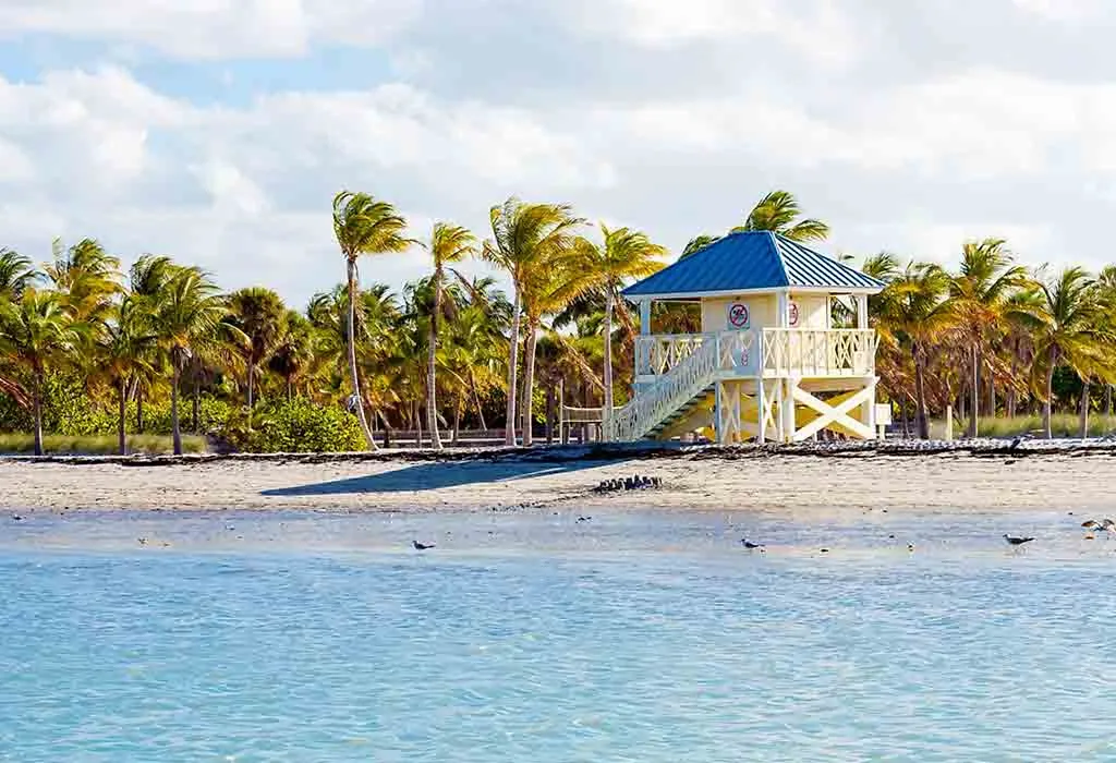 Enjoy a Beach Day at Crandon Park
