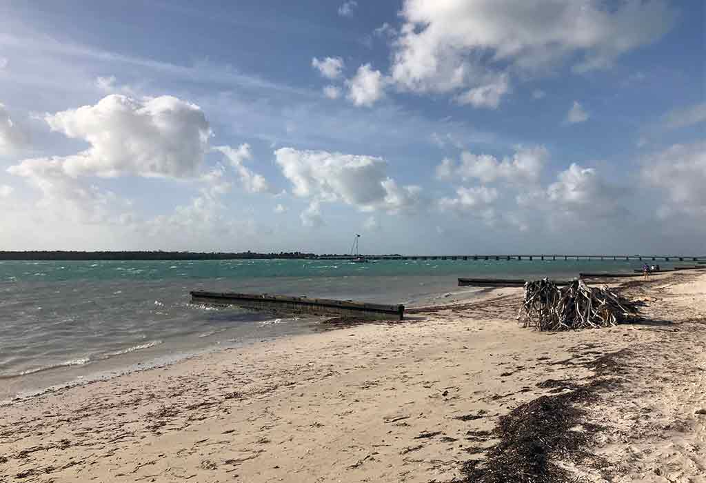 Ride the Historic Virginia Key Beach Park Carousel