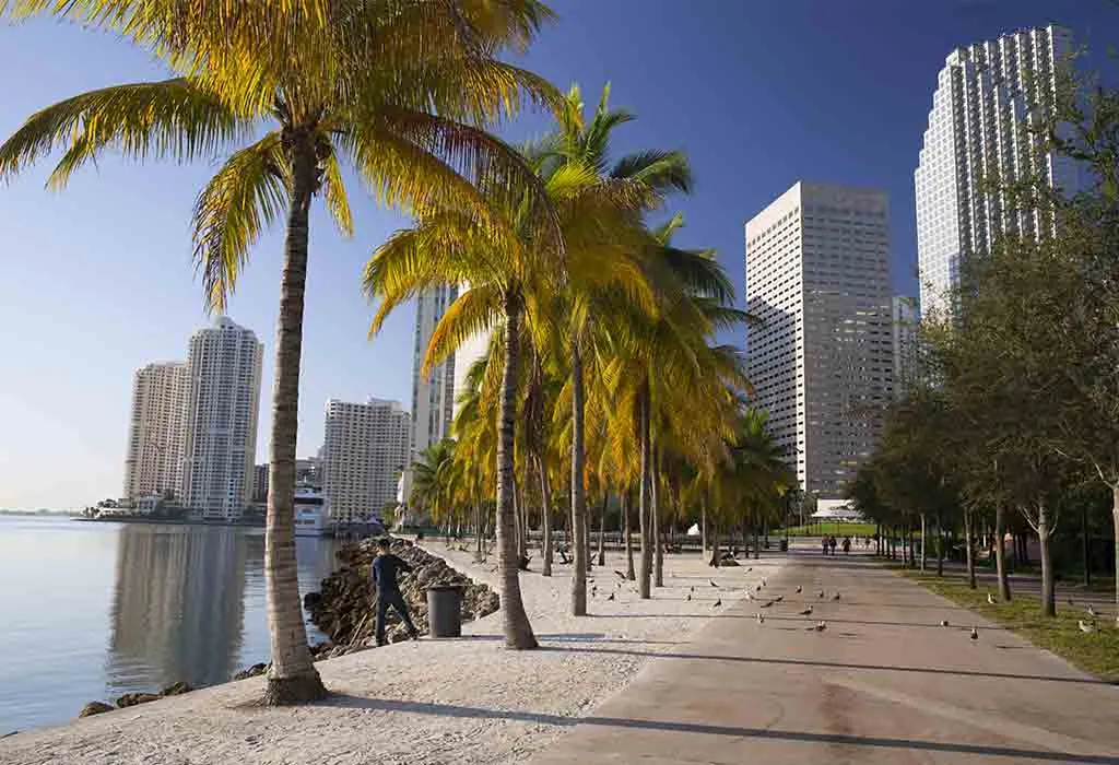 njoy a Picnic at Bayfront Park