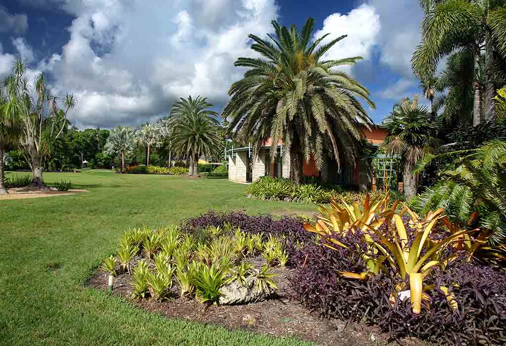 Discover Fairchild Tropical Botanic Garden