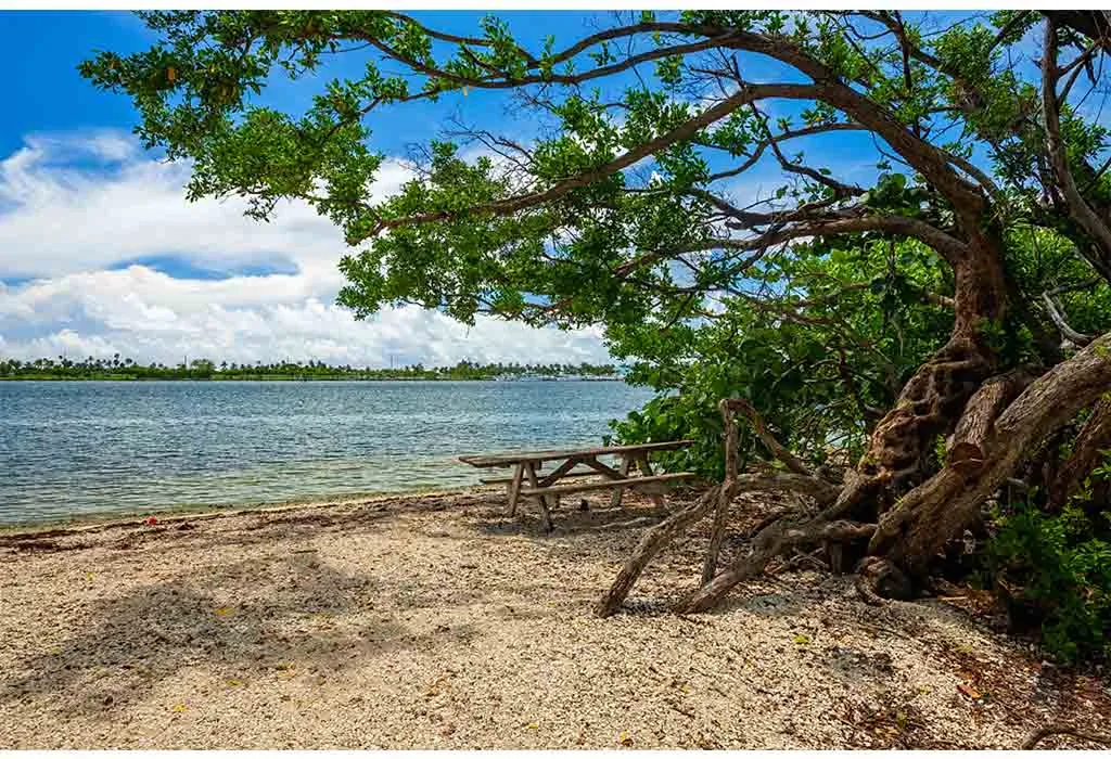 Enjoy the Oleta River State Park