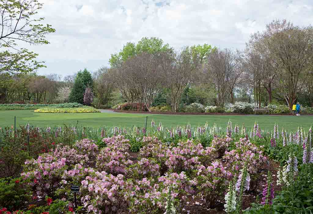 Dallas Arboretum and Botanical Garden