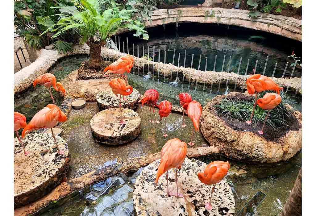 Dallas World Aquarium