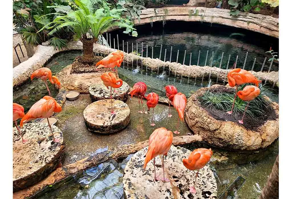 Dallas World Aquarium