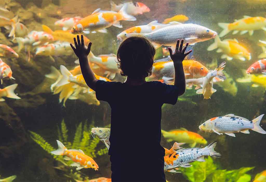 Children's Aquarium