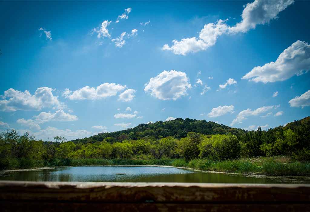 Cedar Ridge Preserve