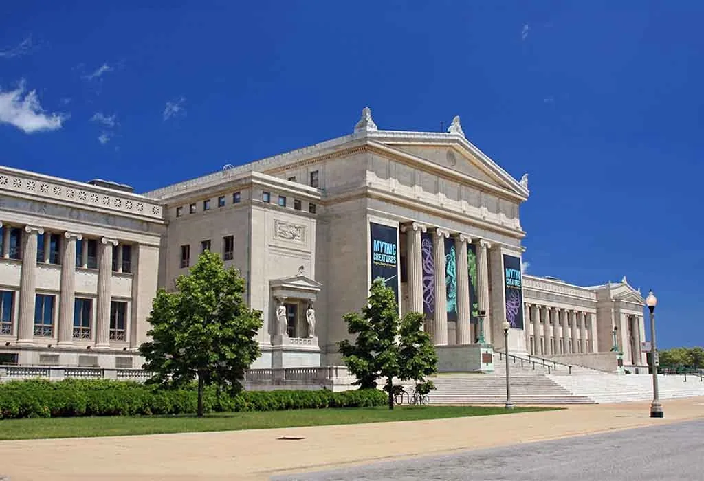 Explore the Field Museum